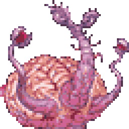 Brain Stem portrait