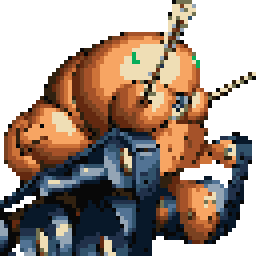 Pakhumerous portrait