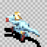 Thrash attack animation, facing top left